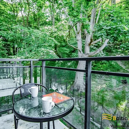 Baltic - Matejki 17 斯维诺乌伊希切